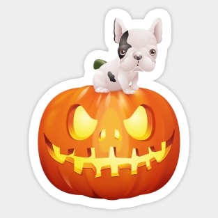 French Bulldog on Halloween Pumpkin Sticker